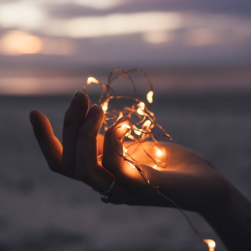 selective focus photography of person holding lighted brown string light
